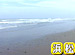 Beach Combing on TV #10 �;����Ų�������