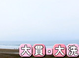 Beach Combing on TV #12 ��ӡ������ʰ�븩����