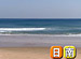 Beach Combing on TV #14 ����ʵܺ긩����