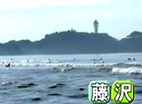 Beach Combing on TV #15 ƣ���ʿ��������