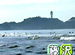 Beach Combing on TV #15 ƣ���ʿ��������