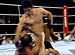 PANCRASE ���������֥� 2005ǯ7��31�� ��ڱ�ۡ���