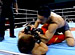 PANCRASE ���������֥� 2006ǯ5��2�� ��ڱ�ۡ���