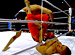 PANCRASE ���������֥� 2007ǯ2��28�� ��ڱ�ۡ���