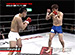 PANCRASE ���������֥� 2010ǯ4��29�� �ǥ��ե�ͭ��