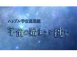 NHK���ڥ���� �ϥå֥뱧��˾���