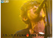 ���� ������ FUNK FIRE TOUR ��07