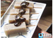 TBS����ǥޥ�ɡֵ�����μ����ϲ������74���Ķ��������ʤ����ܤ��ˡ١�
