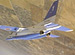 AIR BASE SERIES 10 THE GREAT JOURNEY���֥롼����ѥ륹��������Ͽ�����ԡ� �����ץ˥�