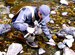 ø��Υ륢�����ե饤���إ�֥� 36��Fishing BUM ���󥿥쥹�ȡ�