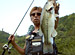 �Х��ե��å��� 44��D-IMPACT 4 Ķ������ Big Bass Lake �����