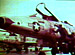 ʼ����ɴ�� ����ꥫ��������ɥե����������� F-100 Super Sabre