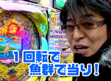 �ӥ���R�ѥ��󥳷��