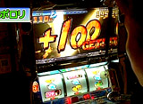 �ѥ������ﾡ������ ��144 �ݥ�����掠��