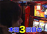 ���饷�� ��12�֥ץ�ߥ��з�סʸ�Ⱦ��� �����ץ˥�