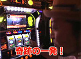 ���饷�� ��20��˨�������з�סʸ�Ⱦ���