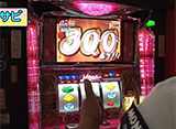 �ѥ������ﾡ������ ��170 �ݥ�����掠��