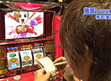 ���߲��Υ����å����������㡼�ˡ� ��81�� ���ܸ� ���ԡ�5/2��5/31 15:00��