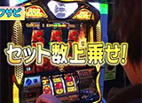 �ѥ������ﾡ������ ��185 �ݥ�����掠�� �����ץ˥�