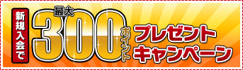��������Ǻ���300�ݥ����