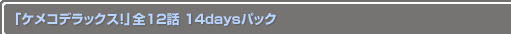 ֥ᥳǥå 12 14daysѥå