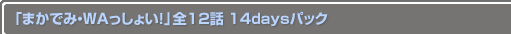 ֤ޤǤߡWAä礤12 14daysѥå