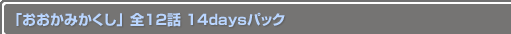 ֤ߤ 12 14daysѥå