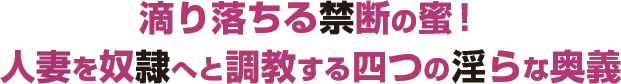 滴り落ちる禁断の蜜!人妻を奴隷へと調教する四つの淫らな奥義