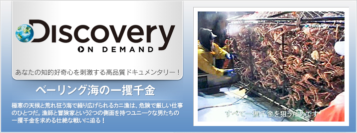 �١���󥰳��ΰ�ڼ���