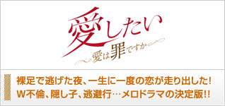 愛したい〜愛は罪ですか〜
