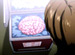 ̩ The Revelation23áSEARCH MY BODYԡ