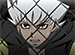  -KIBA-1á̿
