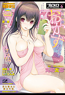 プルメロ 2013年6月号