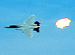 2002 築城航空祭 F-15 起動飛行