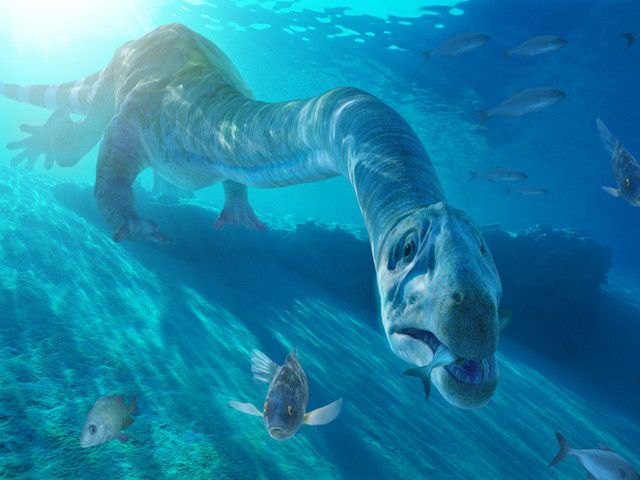 ウォーキング WITH ダイナソー スペシャル:海の恐竜たち 第1話 オルドビス紀・三畳紀・デボン紀