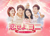 衢ˡ⡼롦եƥ97á120 14daysѥå