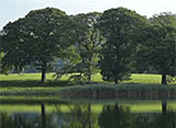 イギリス湖水地方 英国一美しい風景 ニア・ソーリー