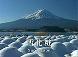 富士山百景 雪化粧