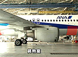 THEフライト　翼の時間　ANA　エアバス　A320