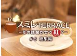 ߥTERRACEݤʹƹȡ#6ԡ