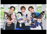 TAKARAZUKA���ˤޤ�ϥ��������ԡ�111�ʥ������ˤ����˥�����󤿤����罸��SP��