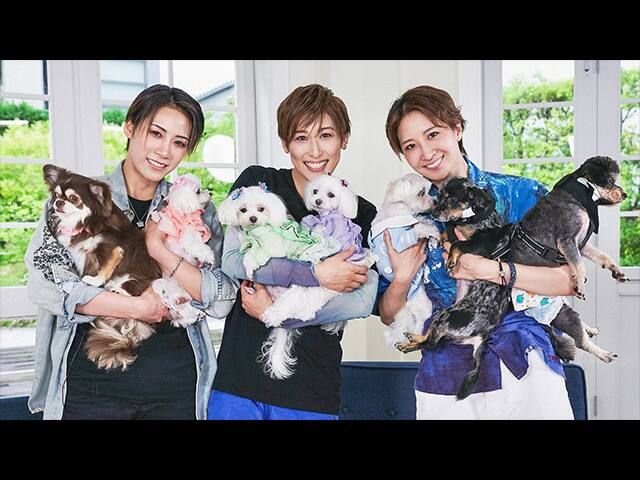 TAKARAZUKA���ˤޤ�ϥ��������ԡ�111�ʥ������ˤ����˥�����󤿤����罸��SP��