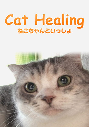 Cat Healing ねこちゃんといっしょ