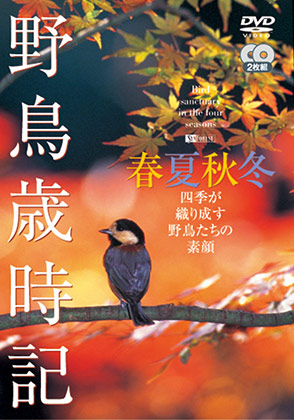 野鳥歳時記 春夏秋冬 動物 ライフ カルチャー 動画を見るならshowtime ショウタイム