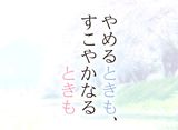 ƥ쥪ǥޥɡ֤Ȥ⡢䤫ʤȤ