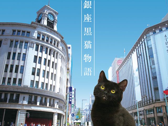 銀座黒猫物語 | ドラマ | テレビ | 動画を見るならShowTime（ショウ